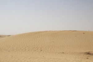 Cuando llegamos esta duna estaba sin ninguna huella. Tan solo estaba ese rizado que tanto recuerda a las olas. Al irnos estaba lleno de huellas de pies.