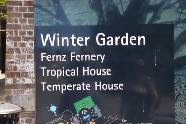 Entramos en el "Jardín de invierno" que contiene la colección de helechos, un invernadero tropical y un invernadero templado