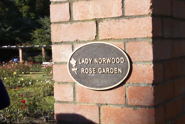 Jardín de Rosas Lady Norwood