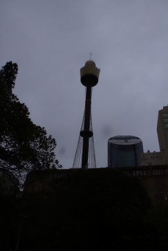 Torre de Sydney entre la bruma