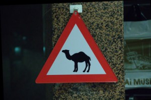 Precaución: camellos