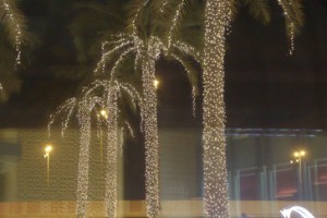 Palmeras iluminadas con leds en el Dubai Mall