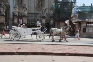 Un coche de caballos con turistas